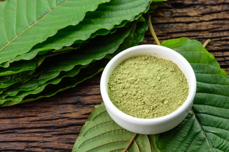 a bowl of green kratom powder