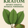 3 kratom leaves with a bowl of kratom powder