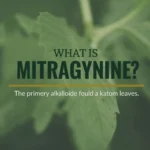 What Is Mitragynine