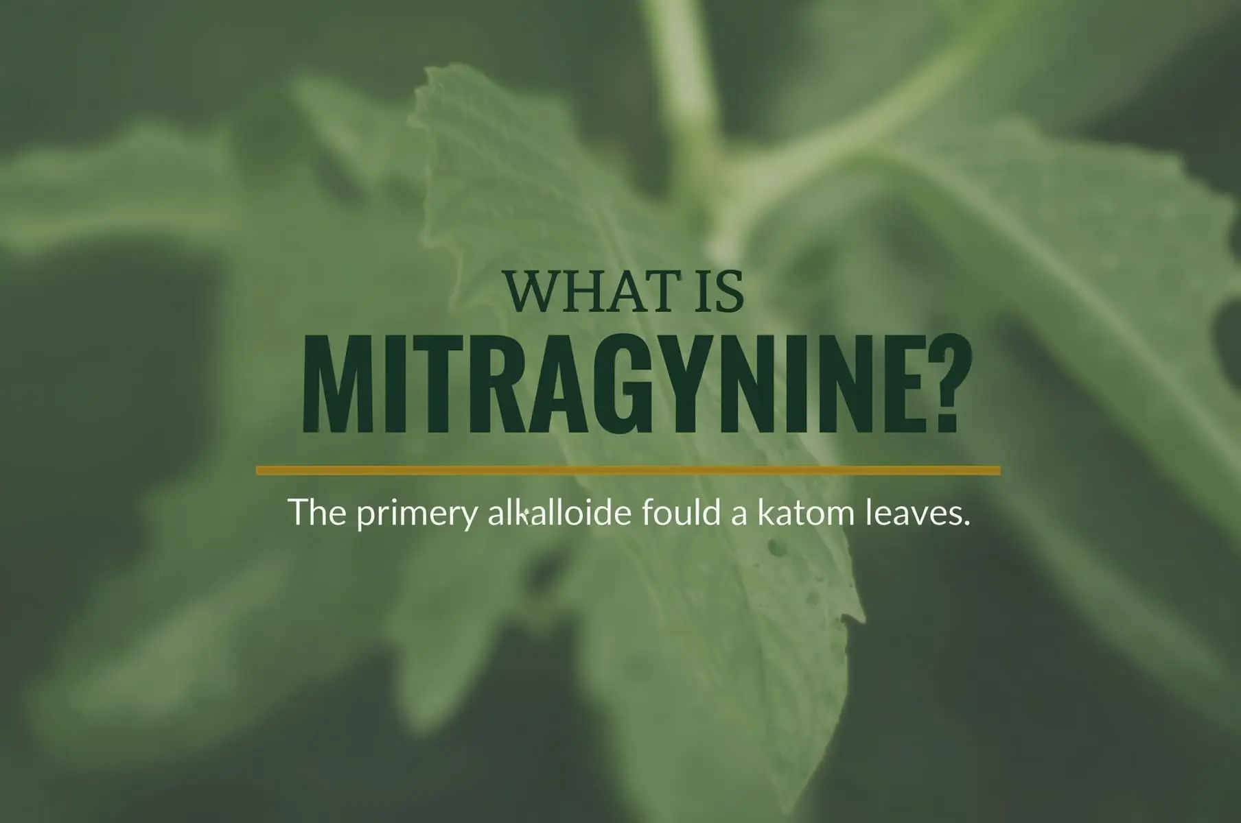 What Is Mitragynine