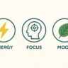 Infographic highlighting the key benefits of White Vein Kratom including energy, focus, and mood support