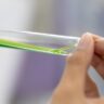 Bulk Kratom Depot | Why Kratom Lab Testing Matters for Every Buyer