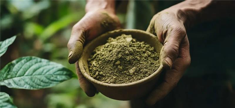 Bulk Kratom Depot | How to Choose Between Maeng Da and Borneo for Daytime vs Evening Use with Red Maeng Da Kratom