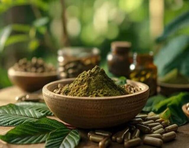 Bulk Kratom Depot | Green Vein Kratom Benefits, Effects, and How It Compares to Red and White Strains Bulk Kratom Depot | Green Vein Kratom Benefits, Effects, and How It Compares to Red and White Strains