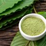 Bulk Kratom Depot | Buying Kratom in Clearwater, FL: Online vs Local Stores